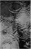 雨粒が広がる水たまり